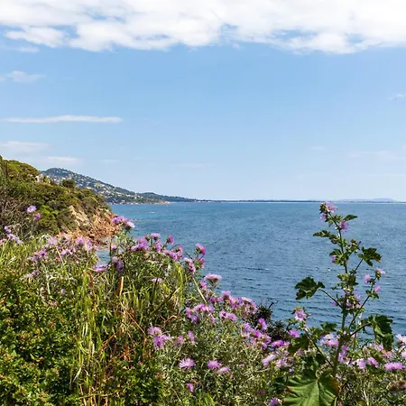 Catherine Vue Et Terrasse Holiday home Carqueiranne