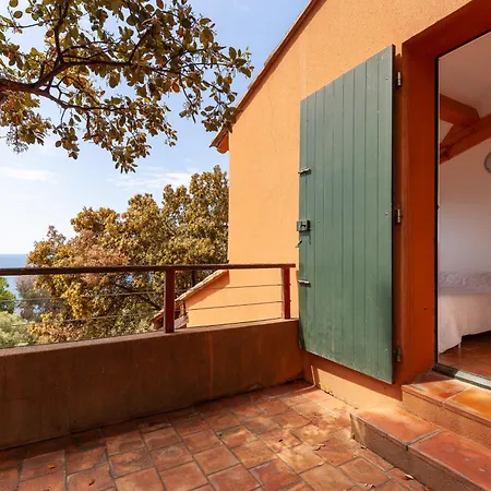 Catherine Vue Et Terrasse Σπίτι διακοπών Carqueiranne