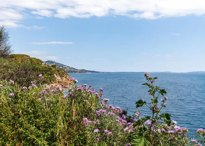 Catherine Vue Et Terrasse Tatil Evi Carqueiranne