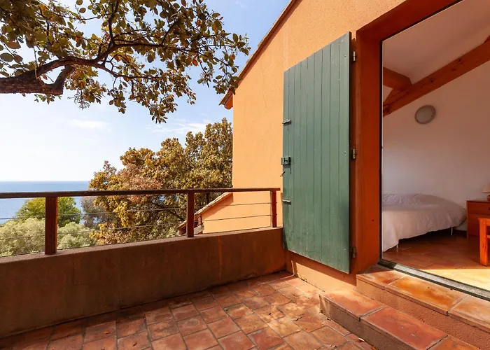Catherine Vue Et Terrasse Tatil Evi Carqueiranne