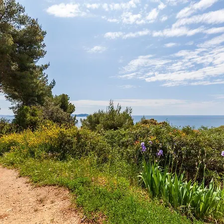 Catherine Vue Et Terrasse